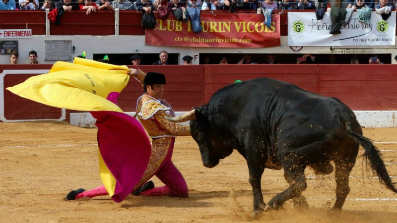 Feria del toro  2024 : une dernière journée forte en émotions