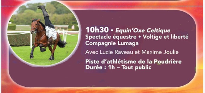 spectacle équestre Equi’nox celtique