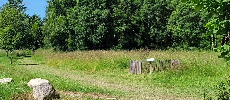 Gestion différenciée des espaces verts en fauchage tardif à l'Isle-Jourdain.