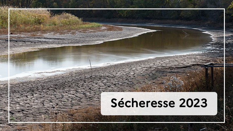 Secheresse-2023.jpg