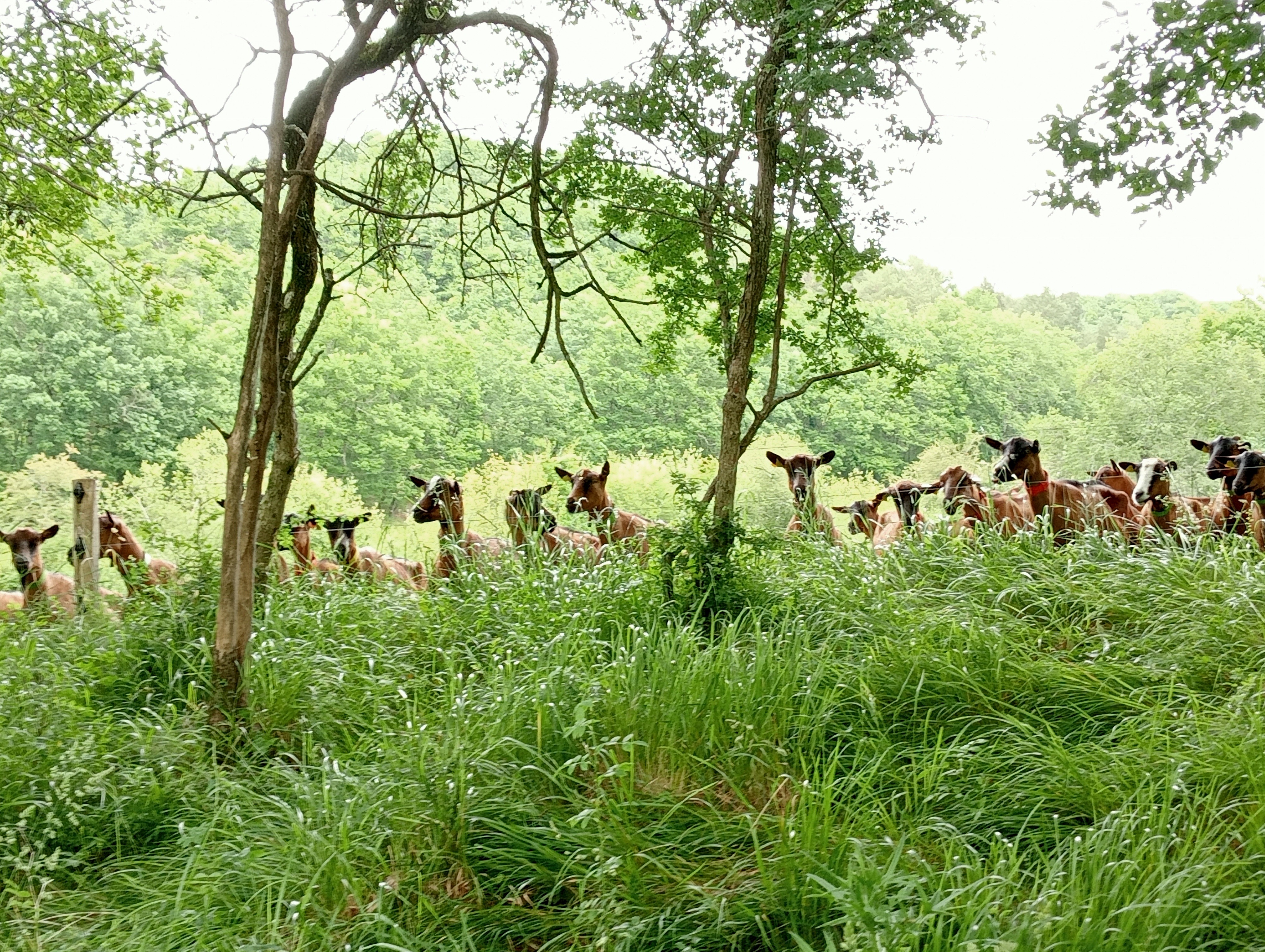 IMG20240602145938.jpg