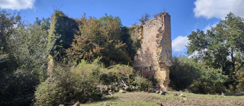 Conférence à l’Abbaye de Flaran : « A la découverte des granges médiévales »
