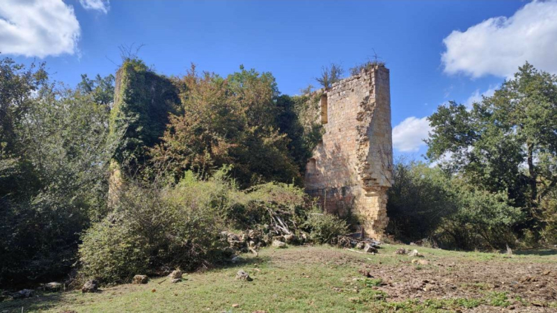 Conférence à l’Abbaye de Flaran : « A la découverte des granges médiévales »