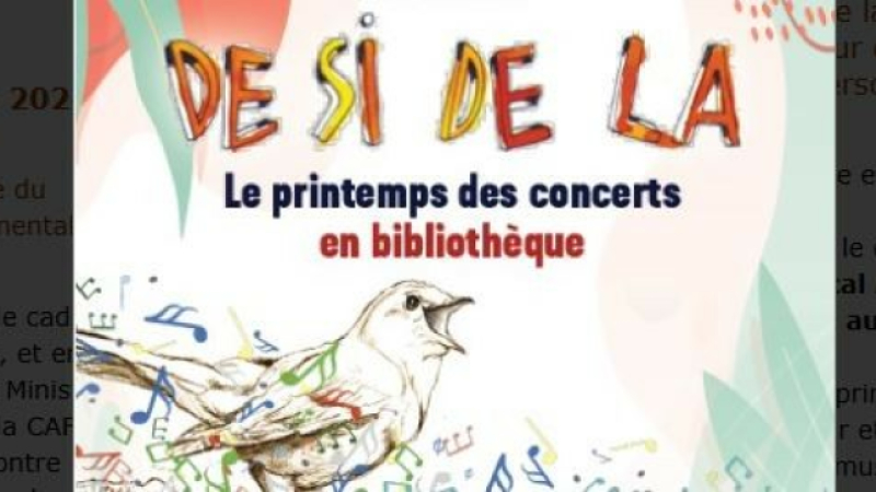 A la médiathèque, Concert « Les chansons  simples »