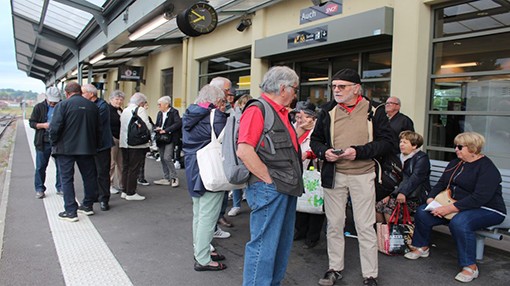 acta train 1.jpg