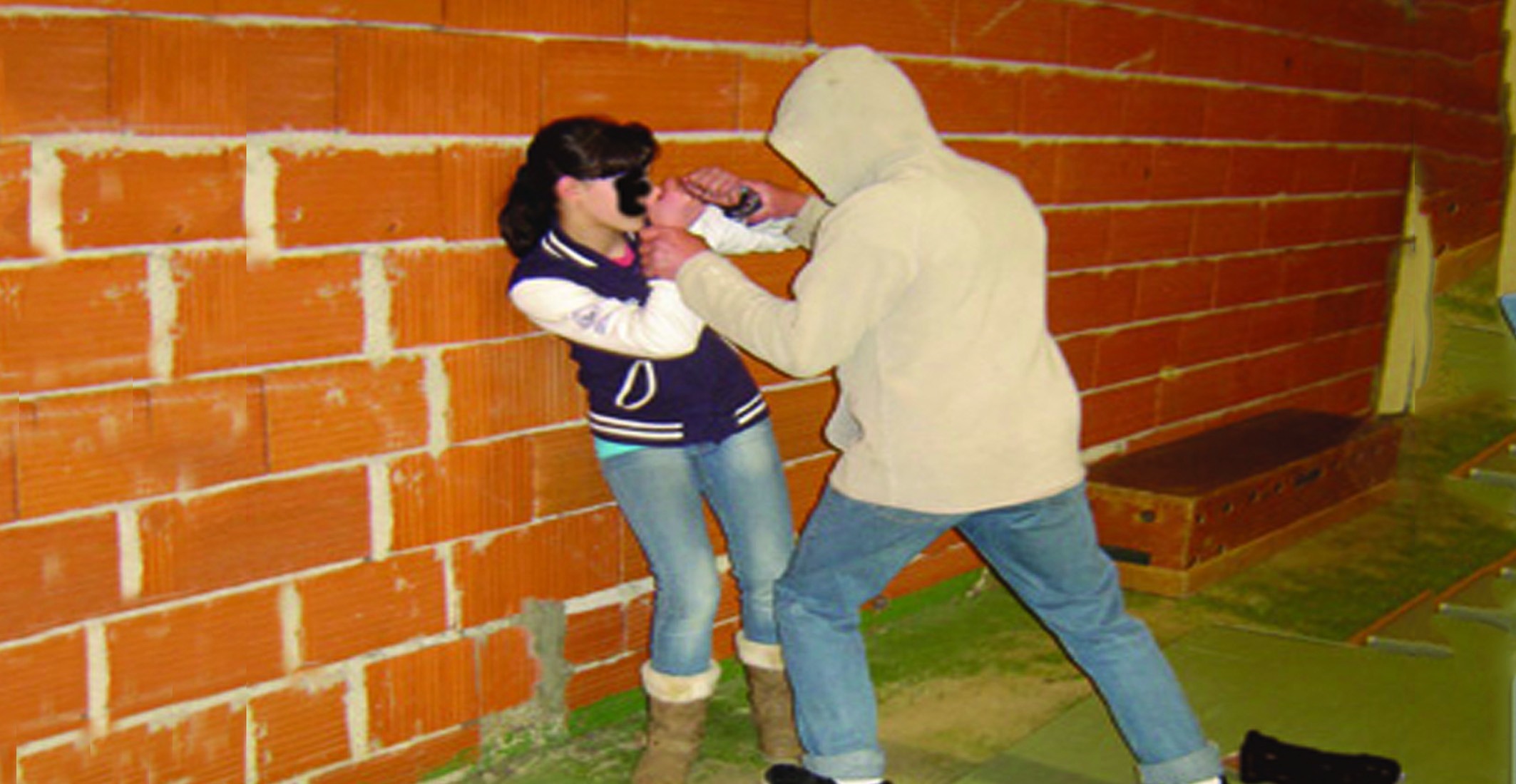 karateka agression.jpg