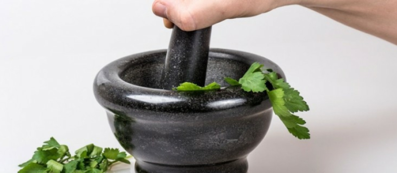 La cuisine sauvage et son atelier