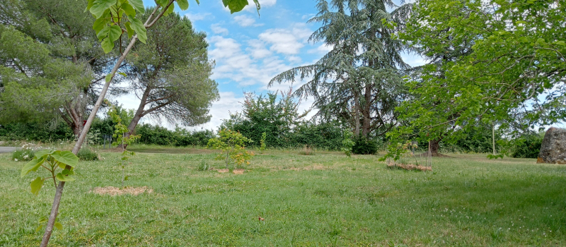 Le pari de l’exotisme contre l’invasion silencieuse