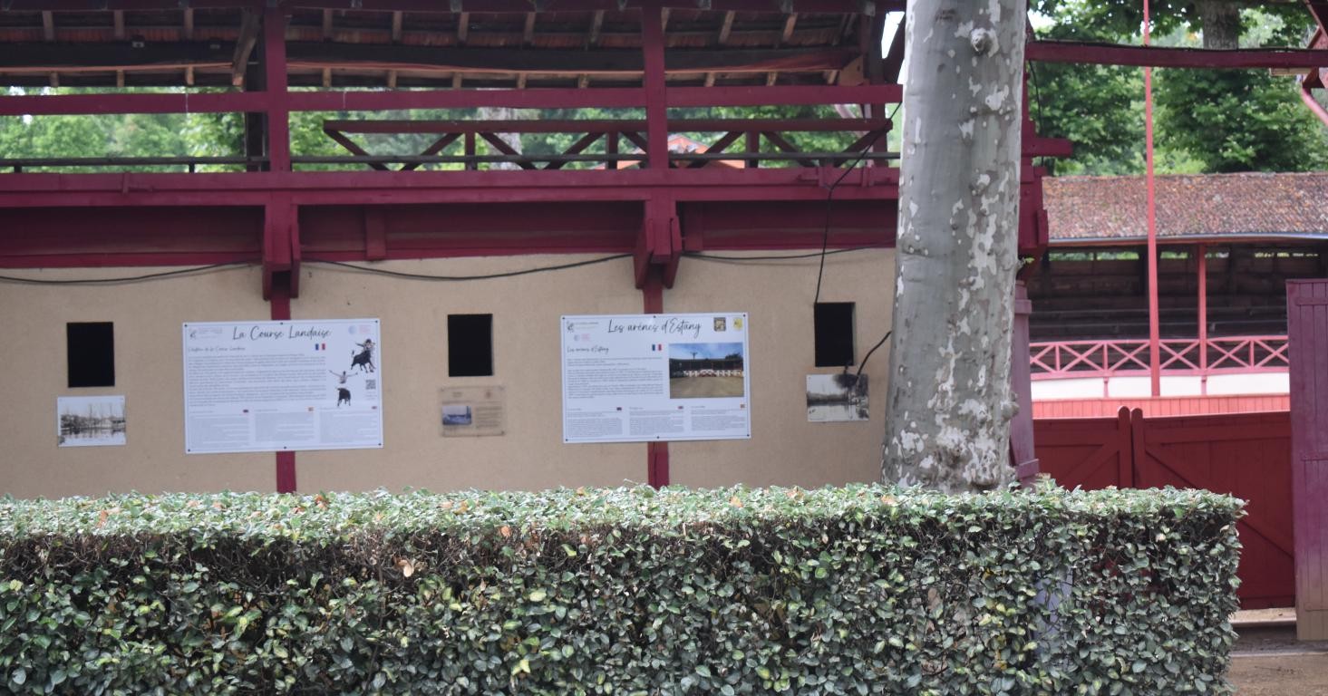 Départ et arrivée aux arènes.