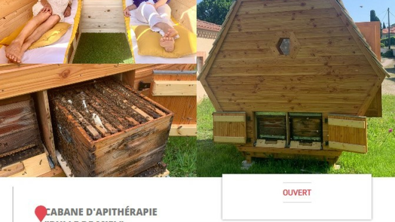 La cabane d'apithérapie "Bulle de miel"    labellisée  "Terra Gers"