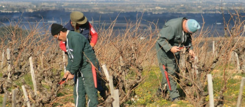 Assemblée générale du Groupement d'Employeurs Gers en Gascogne
