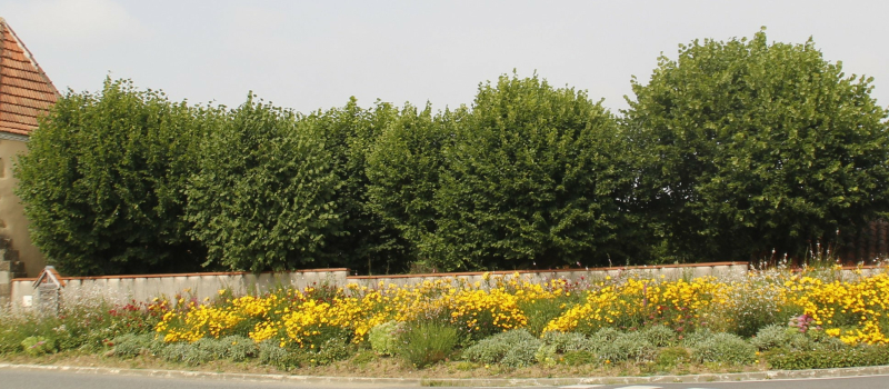 Floralies miélanaises