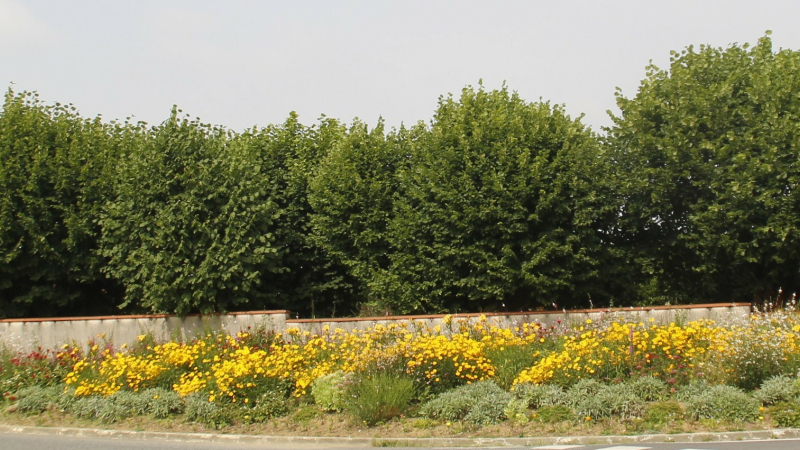 Floralies miélanaises