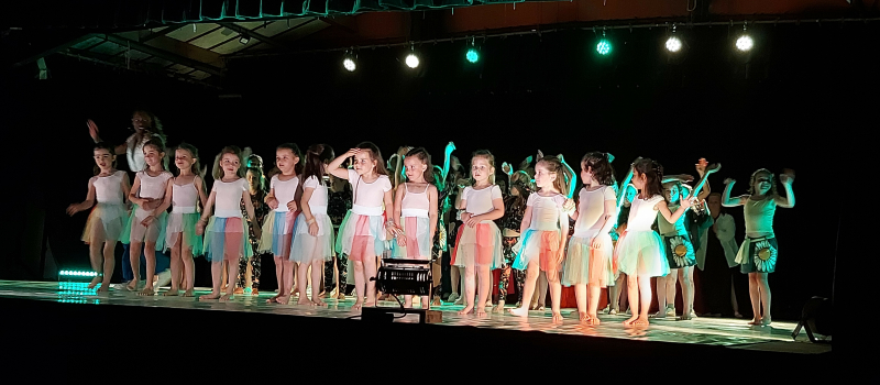Chorégra'Vic : un gala de fin d'année flamboyant !