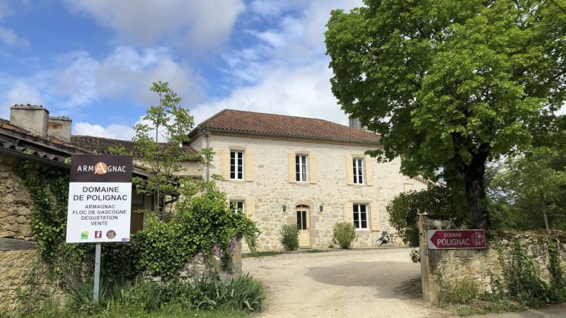 Vinepolign'Art au Domaine de Polignac !