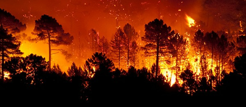 L’ONF mobilisé en matière de prévention contre les feux de forêt et de végétation