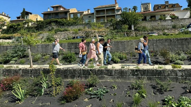 Jardin Deu Hountanèr : visite de chantier