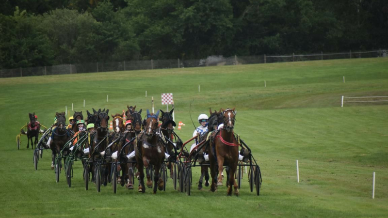 Courses de chevaux