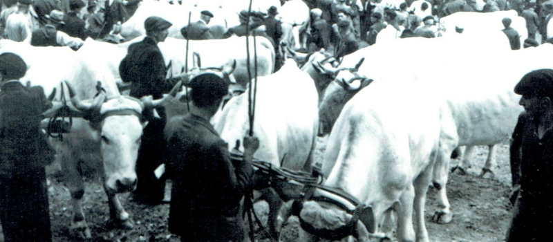 La foire de la Madeleine