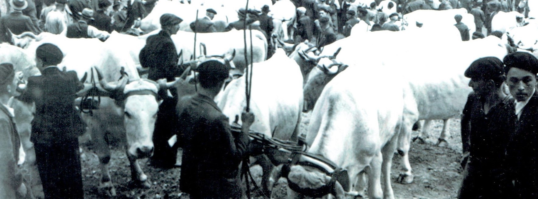 FOIRE 1954 2.jpg