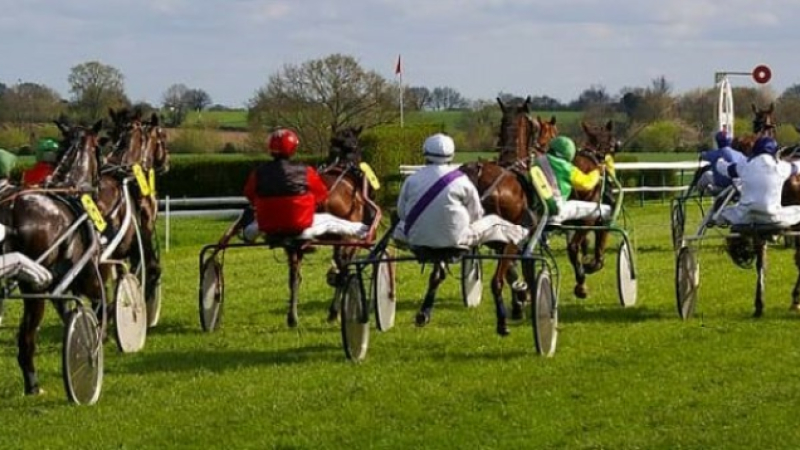 Courses de trot attelé à l'hippodrome du Réchou
