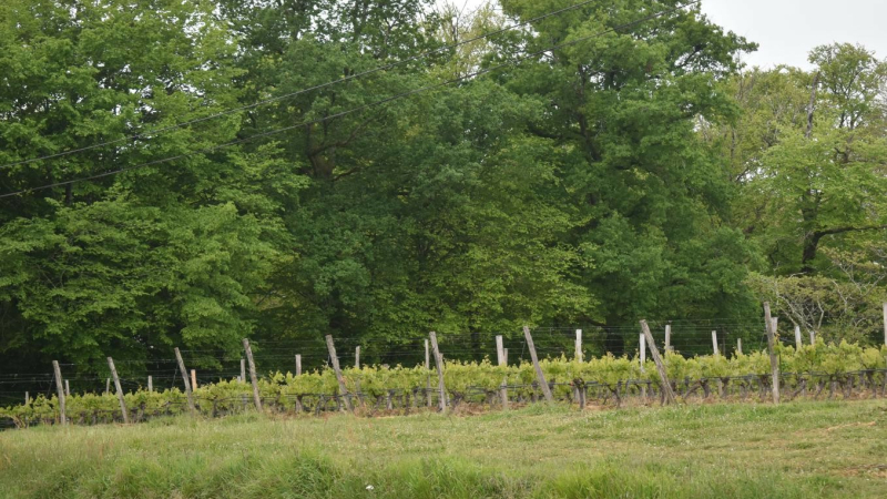 Randonnée gourmande en six étapes