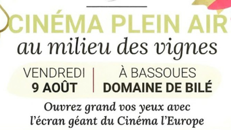 Cinéma de plein air sur écran géant