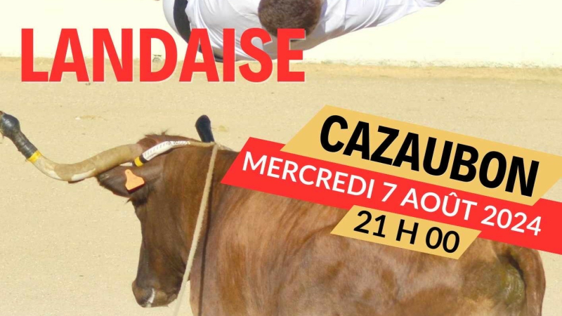 Course landaise