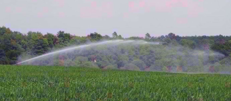 FNE subventionnée par Adour / Garonne veut la mort des céréaliers du Sud-Ouest !