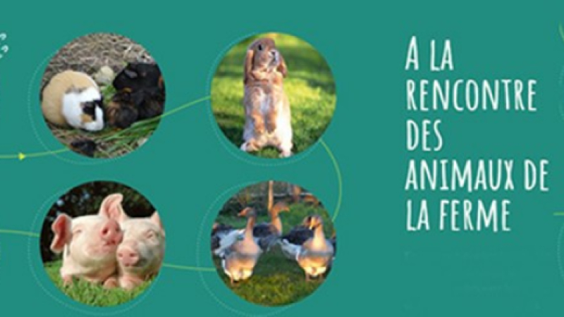 Découvertes gourmandes et artisanales autour de Mirande