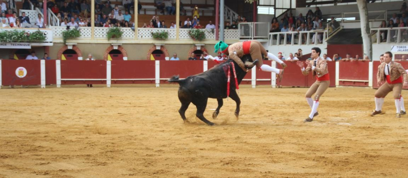 Corrida portugaise 2024