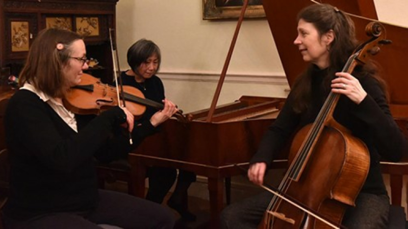 'A l'Aube du XIXeme Siècle :Le Salon Viennois'