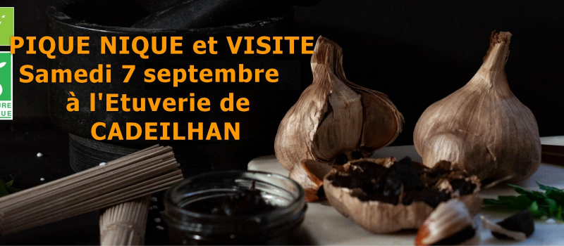 Repas pique-nique et visite de l'Etuverie de Cadeilhan