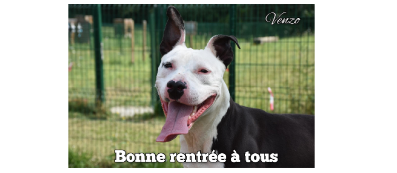 Collecte de dons organisée par la SPA du Gers