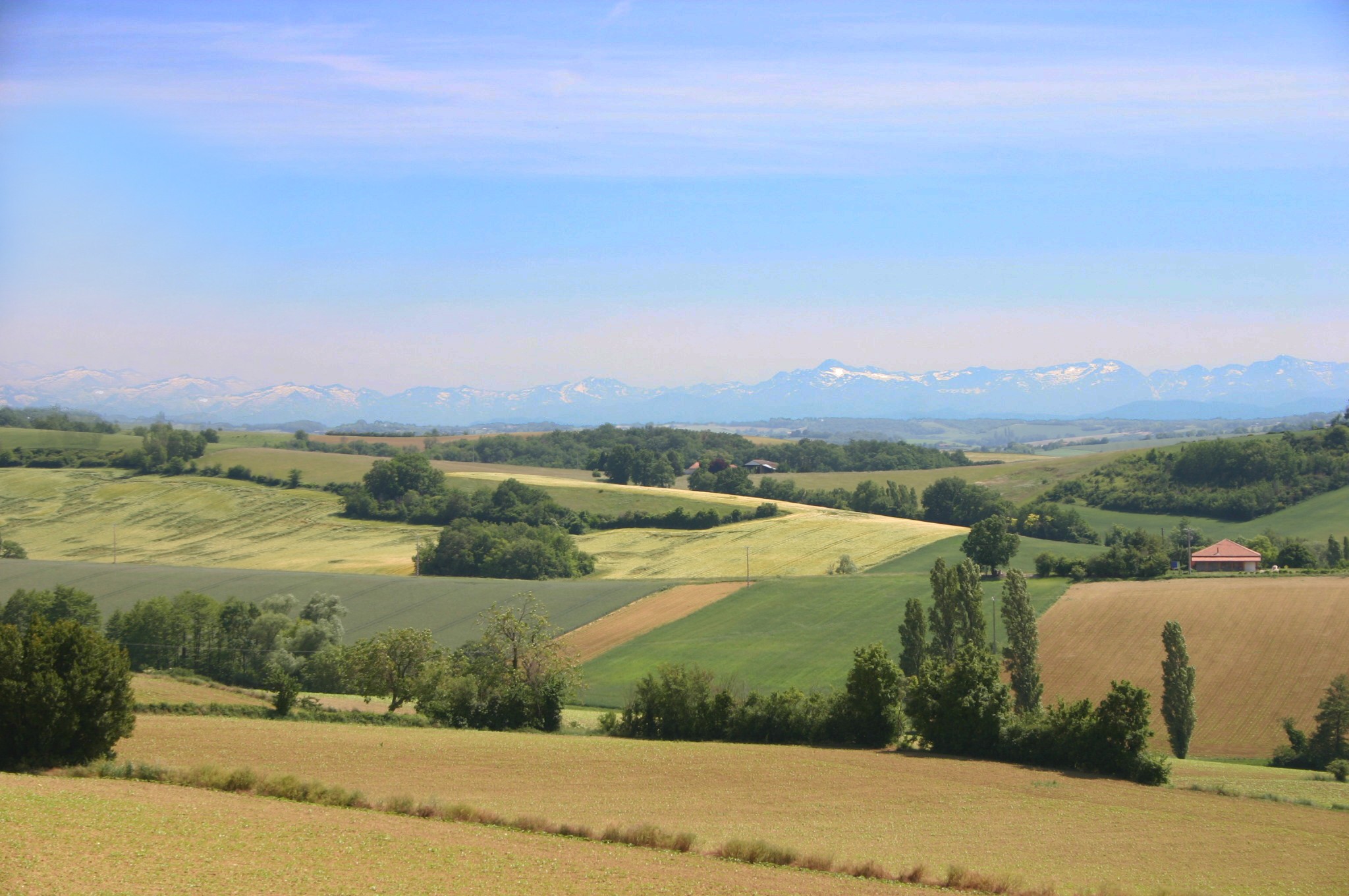 paysage mont.jpg