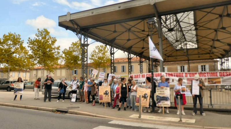 Les anti-corridas  fidèles à leur contestation