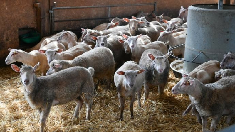 Fdsea 32 et des Jeunes Agriculteurs du Gers : rentrée de l’élève Fesneau ! Des progrès mais il reste des efforts à faire