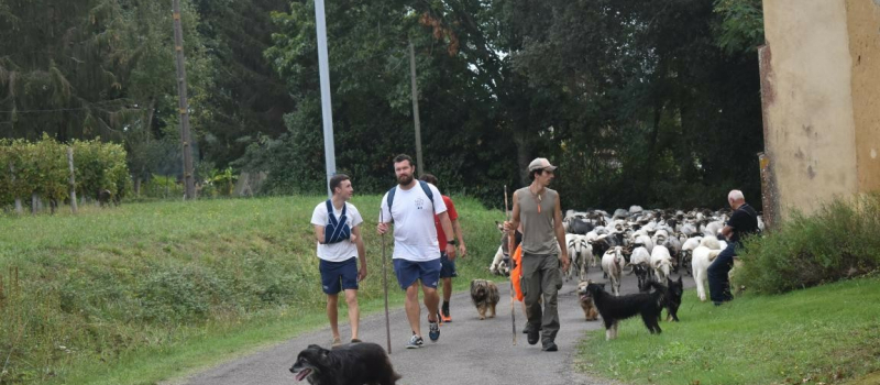 La Route de la transhumance fait une halte à Castex d'Armagnac
