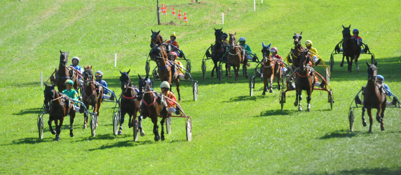 L'hippodrome de Gimat accueille les courses de trot de la Saint Matthieu