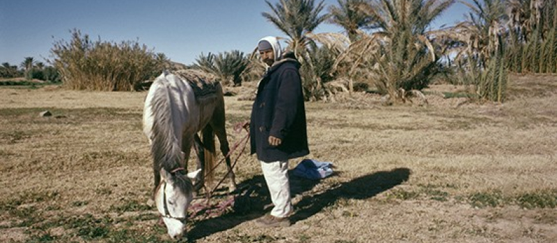 Autour de l'exposition de Driss Aroussi«Rihla fil wãha»
