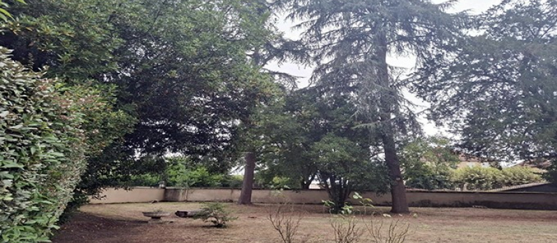 Quand biodiversité et patrimoine se marient