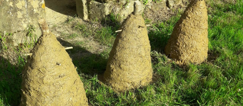 Venez fabriquer votre ruche traditionnelle !