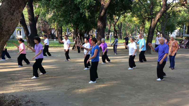Reprise des cours du Club «Autour du Tai Chi, la Beauté du geste» ce lundi !