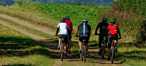 rando-vtt-3.jpg