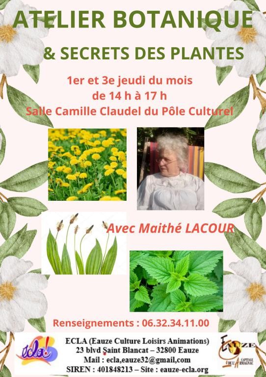 BOTANIQUE.jpg