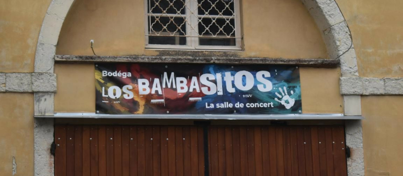 Les Petits Baigneurs en concert