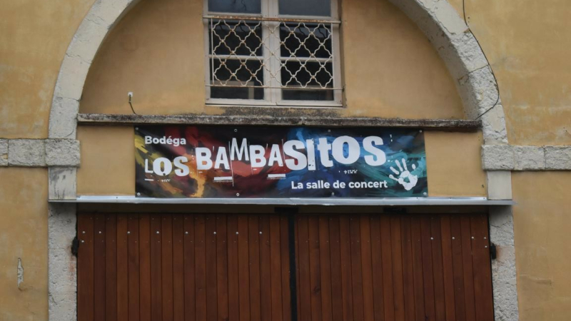 Les Petits Baigneurs en concert