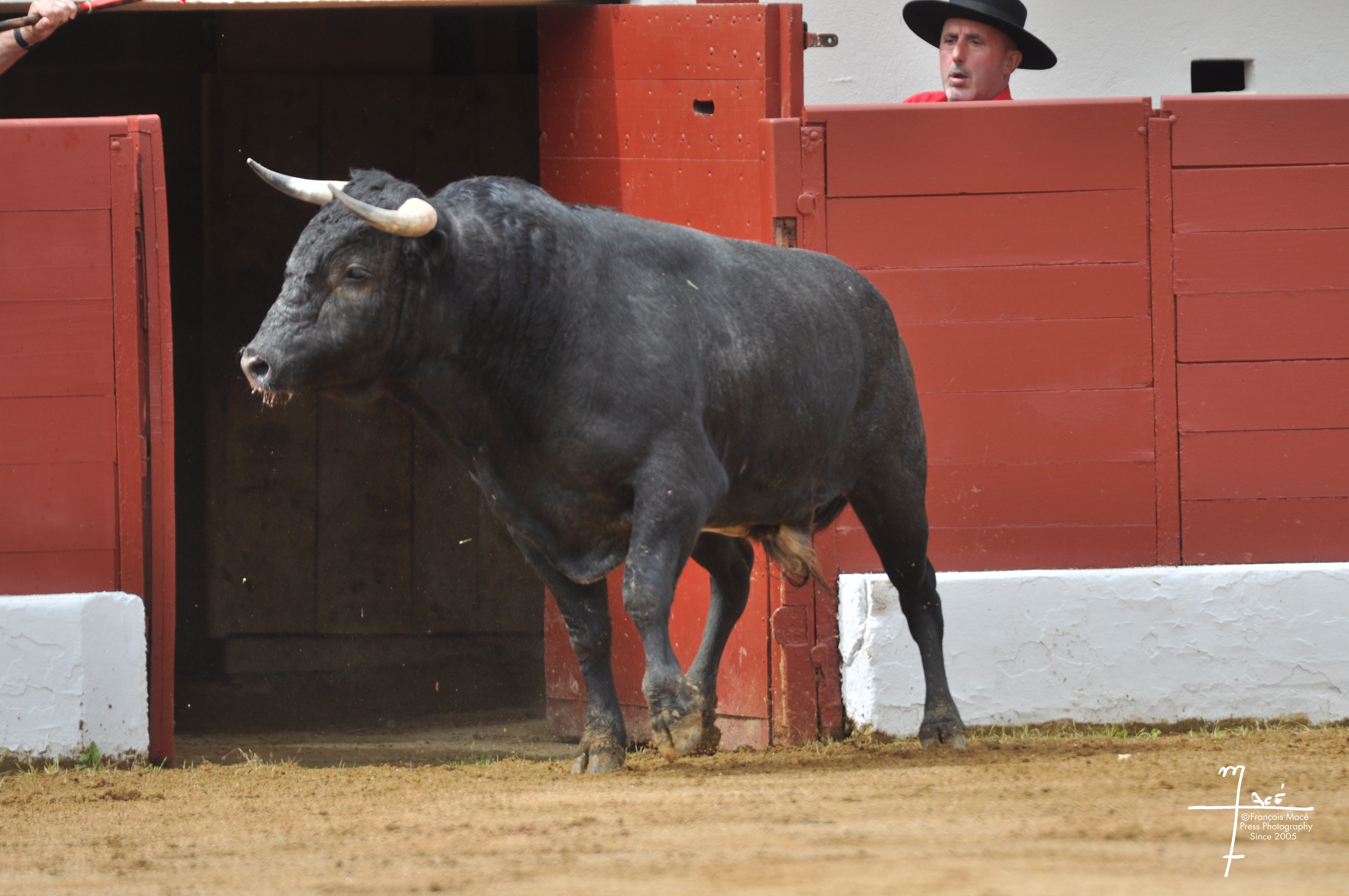 DSC_0096.jpg