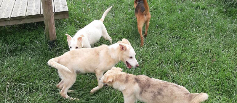 Les sept babies de la semaine !