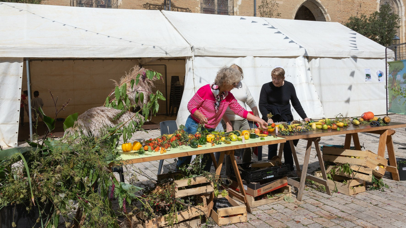 Eauze, fête de la pomme, animations scolaires